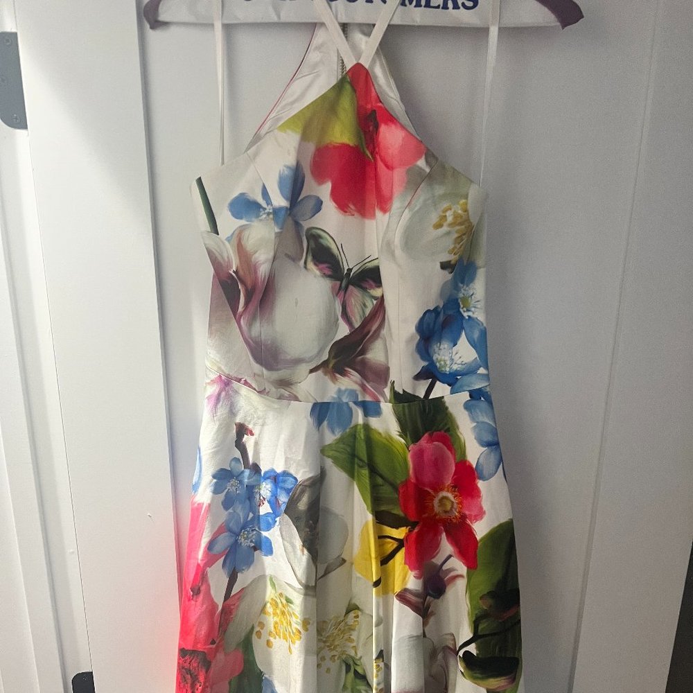 Ted Baker Dress